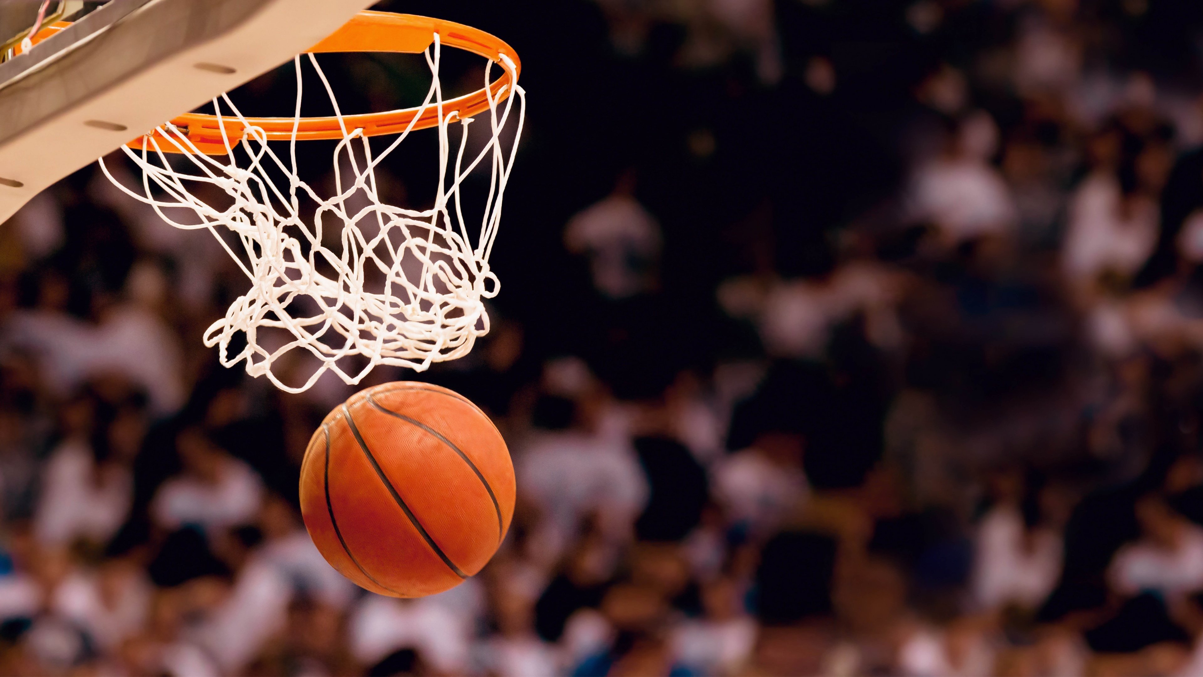 悬念终结者，哈利伯顿的冷血三分，如何让灰熊在关键战撕碎快船